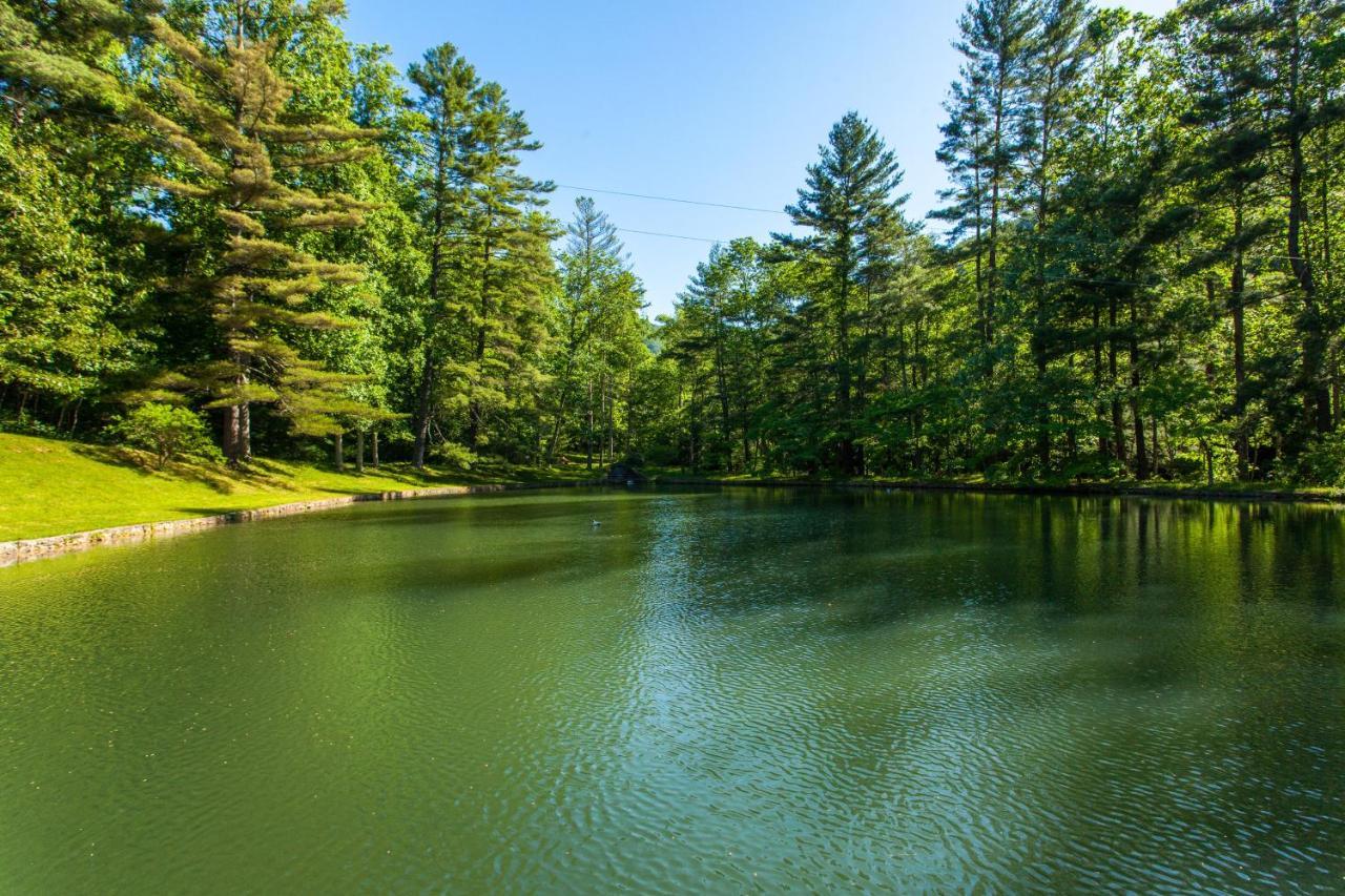 הוילה אשוויל Bull Creek Peaceful Escape מראה חיצוני תמונה